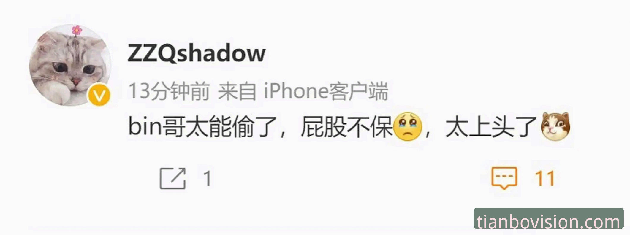 5个关键技巧，教会你天博电竞数据怎么看才最有价值